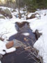 straddling the back creek.jpg